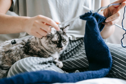 4 Benefits of Having a Cat (and Why They Make Life Better)